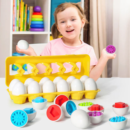 Montessori Matching Eggs – Smart Shape Sorter Toy for Kids